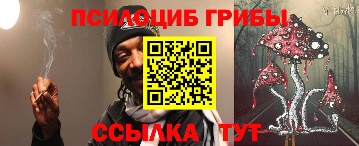 Псилоцибиновые грибы прущие грибы Армавир